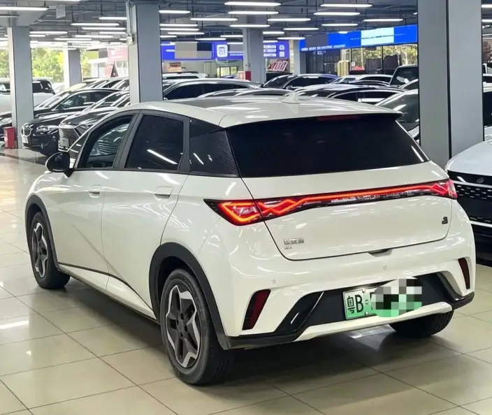 BYD Dolphin 2021 Model Fashion Edition – фото 3