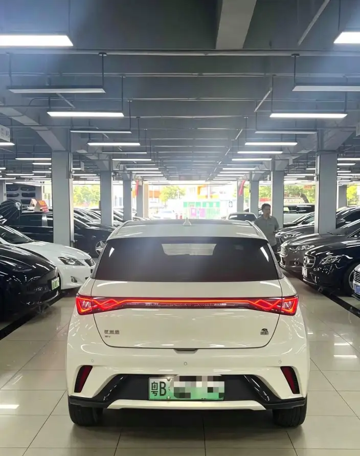 BYD Dolphin 2021 Model Fashion Edition – фото 4