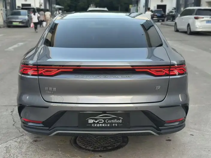 BYD Han DM 2022 Model DM-i 121KM Exclusive Model – фото 6