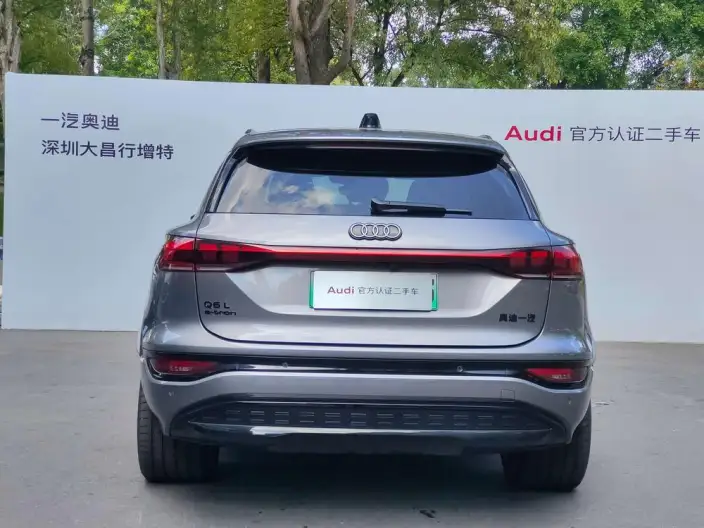 AUDI Q6L e-tron 2026 Model First Edition Pilot Edition – фото 4