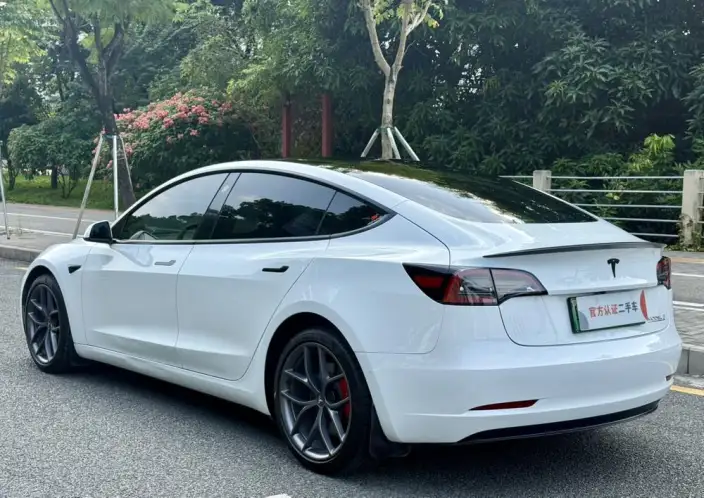 Model 3 2022 Model Performance High performance All-wheel drive version – фото 5