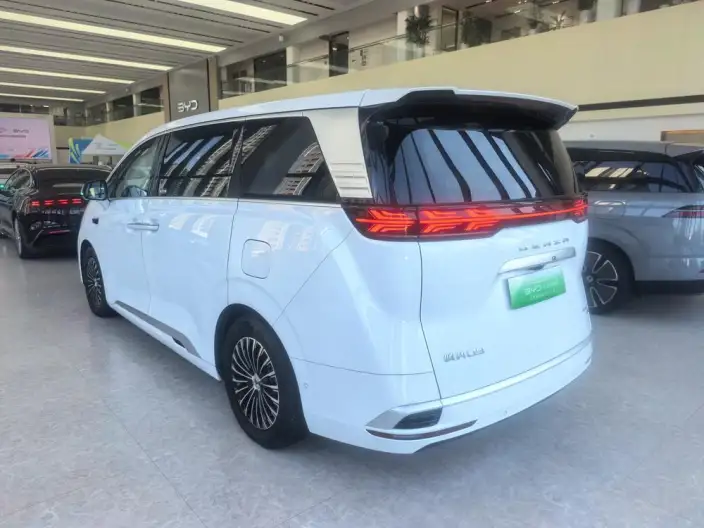 DENZA D9 DM 2025 Model Smart Driving Edition 1020 4WD Flagship Model – фото 5