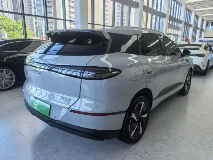 Sea Lion 06DM 2025 Model DM-i 205KM Pilot Plus Edition – фото 7
