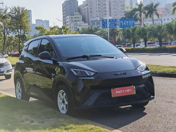 BYD Seagull 2023 Model Vitality Edition – фото 2