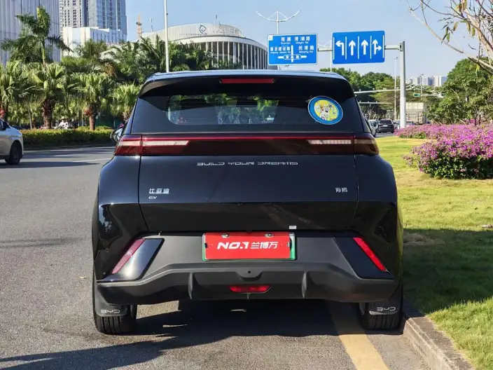BYD Seagull 2023 Model Vitality Edition – фото 5