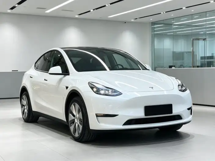 Model Y 2022 Model Facelift Long Battery Life Pro All-wheel drive version – фото 3