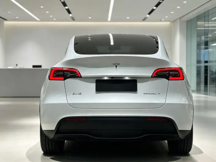 Model Y 2022 Model Facelift Long Battery Life Pro All-wheel drive version – фото 6