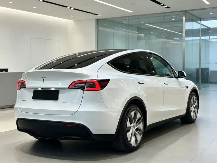 Model Y 2022 Model Facelift Long Battery Life Pro All-wheel drive version – фото 7