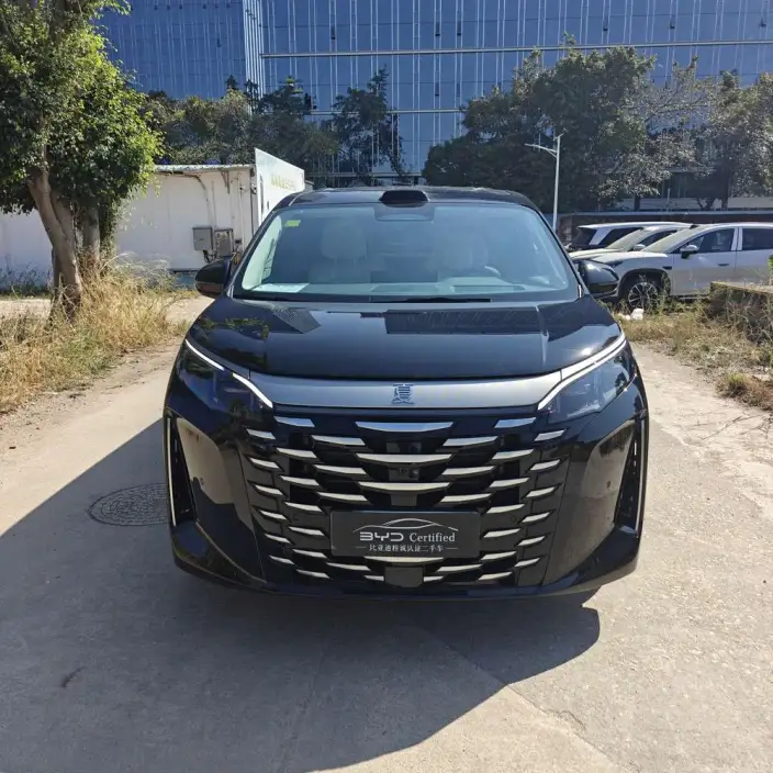 Xia 2026 Model DM-i 218KM Excellence Model – фото 2