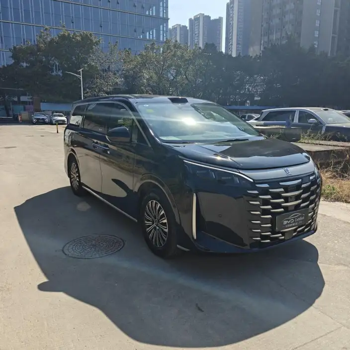 Xia 2026 Model DM-i 218KM Excellence Model – фото 3