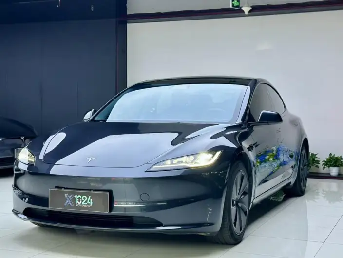 Model 3 2023 Model Long Battery Life Pro All-wheel drive version – фото 1