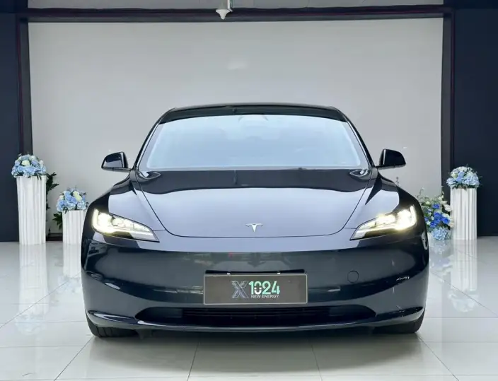 Model 3 2023 Model Long Battery Life Pro All-wheel drive version – фото 2