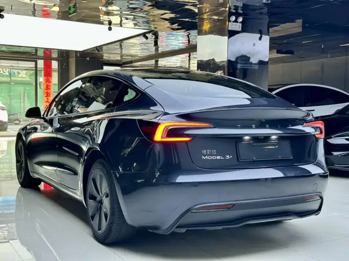 Model 3 2023 Model Long Battery Life Pro All-wheel drive version – фото 4