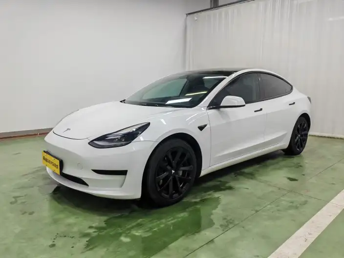 Model 3 2022 Model Rear-wheel drive version – фото 1