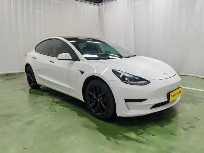 Model 3 2022 Model Rear-wheel drive version – фото 3