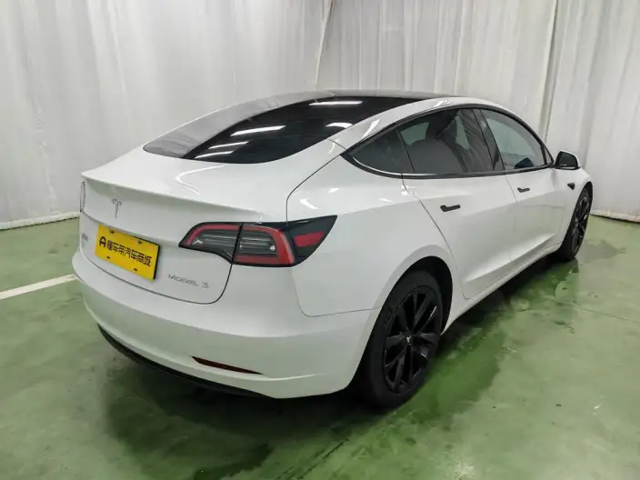 Model 3 2022 Model Rear-wheel drive version – фото 7