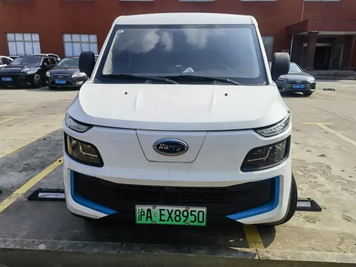Dolphin EV 2023 Model Fortune Edition – фото 2