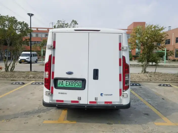 Dolphin EV 2023 Model Fortune Edition – фото 4