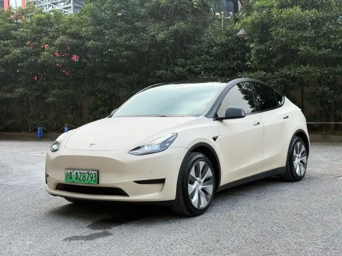 Model Y 2022 Model Rear-wheel drive version – фото 1