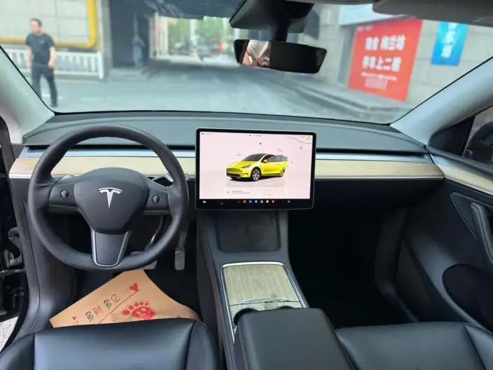 Model Y 2022 Model Rear-wheel drive version – фото 8