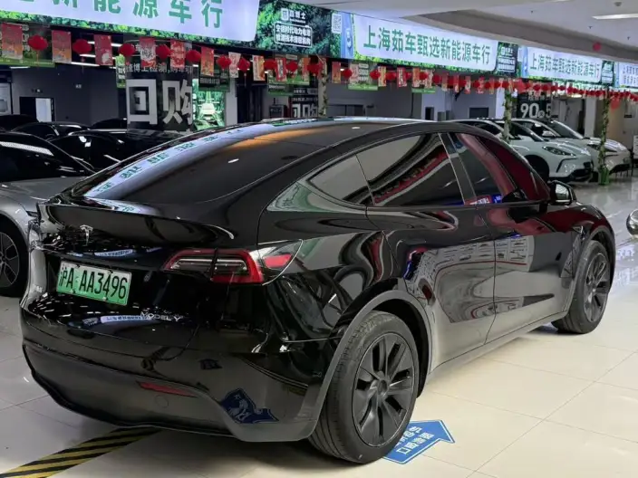 Model Y 2023 Model Rear-wheel drive version – фото 5