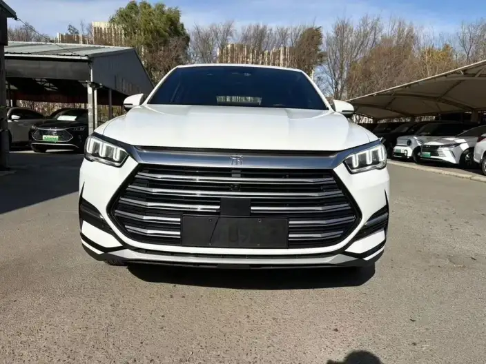 BYD Song Pro DM 2022 Model DM-i 110km Flagship Model Pro – фото 2