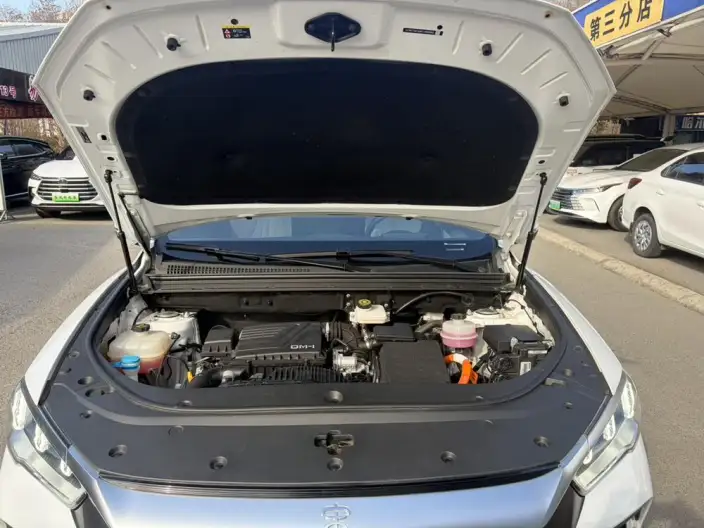 BYD Song Pro DM 2022 Model DM-i 110km Flagship Model Pro – фото 8