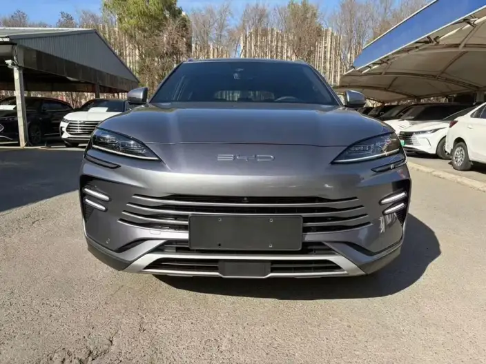 BYD Song PLUS DM 2023 Model DM-i Champion Edition 110KM Flagship Model – фото 2