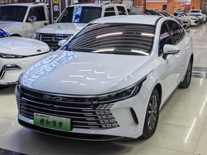 BYD Destroyer 05 2024 Model Honor Edition DM-i 55KM Luxury Model – фото 1
