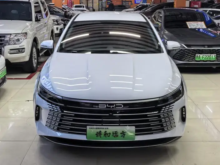 BYD Destroyer 05 2024 Model Honor Edition DM-i 55KM Luxury Model – фото 2