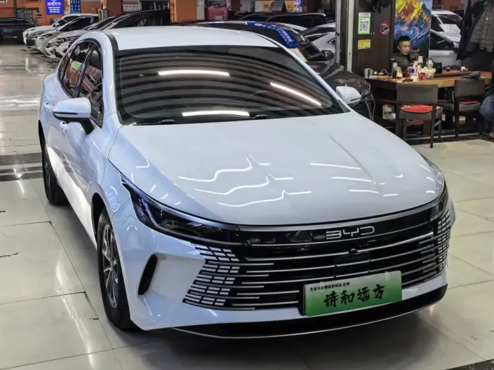 BYD Destroyer 05 2024 Model Honor Edition DM-i 55KM Luxury Model – фото 3