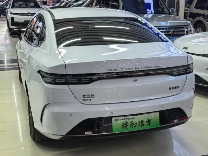 BYD Destroyer 05 2024 Model Honor Edition DM-i 55KM Luxury Model – фото 4