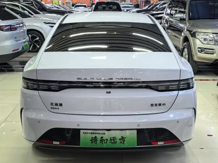 BYD Destroyer 05 2024 Model Honor Edition DM-i 55KM Luxury Model – фото 5