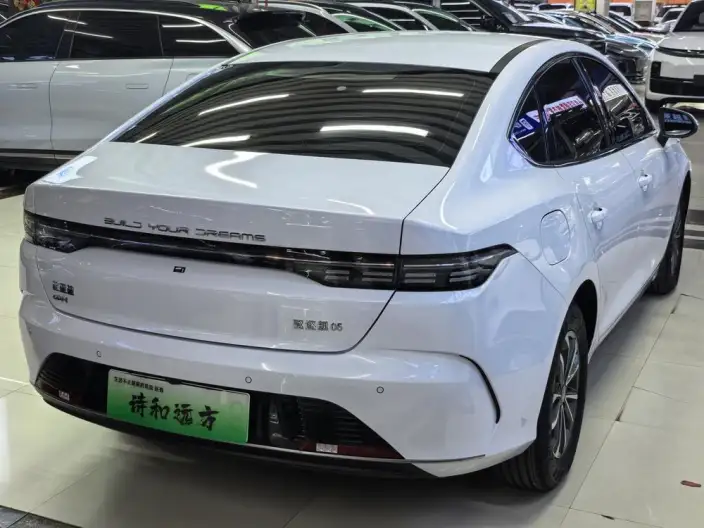 BYD Destroyer 05 2024 Model Honor Edition DM-i 55KM Luxury Model – фото 6