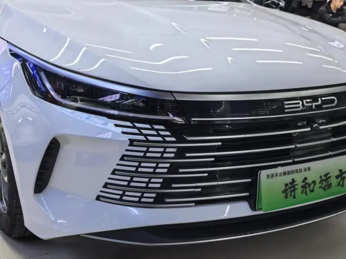 BYD Destroyer 05 2024 Model Honor Edition DM-i 55KM Luxury Model – фото 7