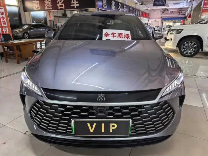 BYD Qin PLUS DM 2025 Model Smart Driving Edition DM-i 55KM Leading Model – фото 2