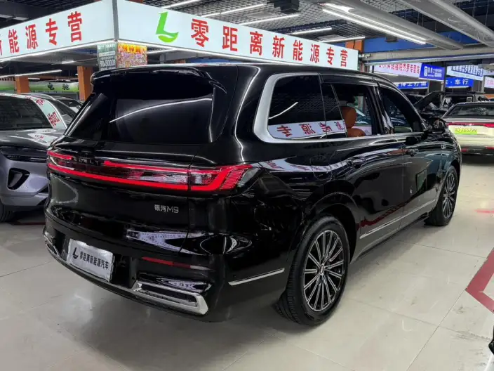 Geely M9 2025 Model 230km 2WD Tiggo Edition – фото 6