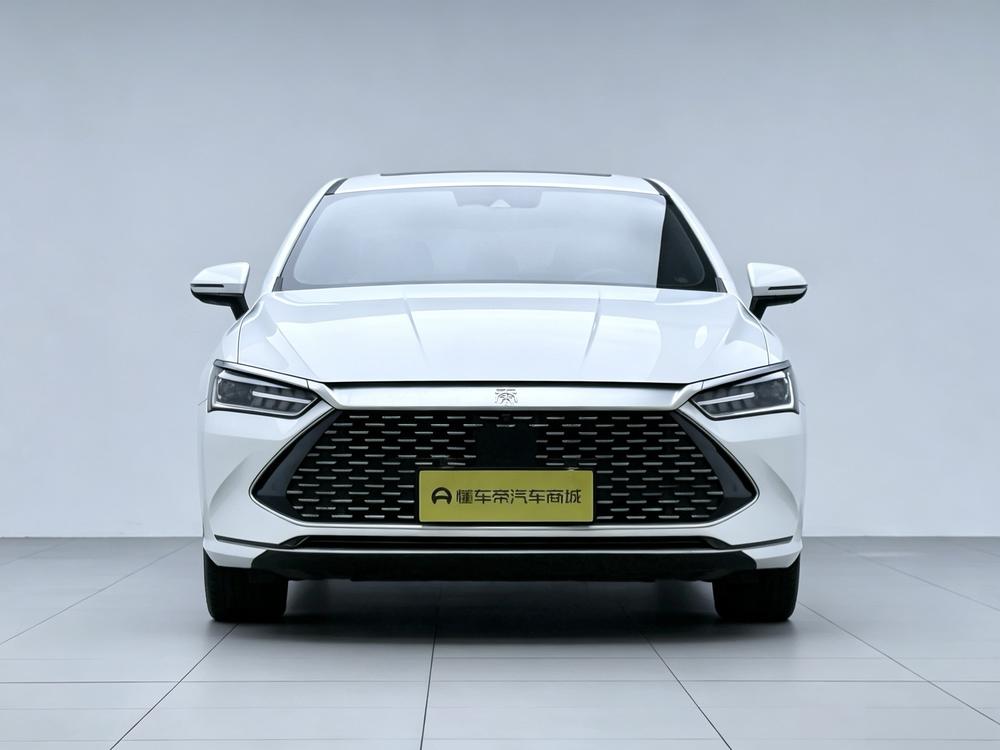 BYD Qin Plus DM 2021 DM-i 120km Flagship – фото 2