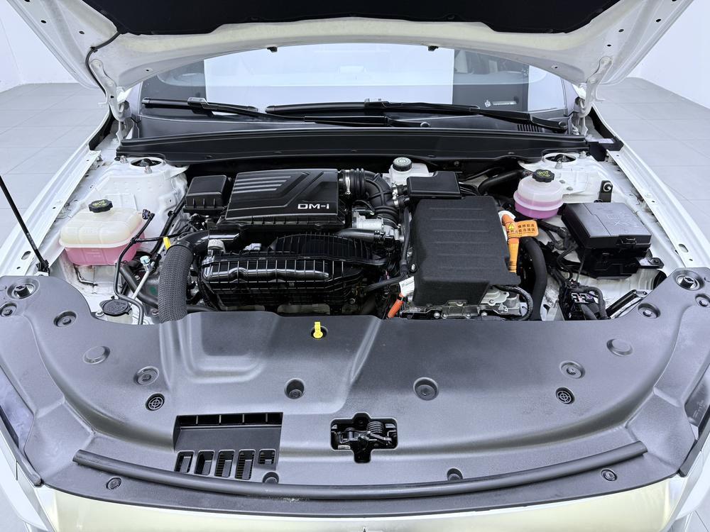 BYD Qin Plus DM 2021 DM-i 120km Flagship – фото 10