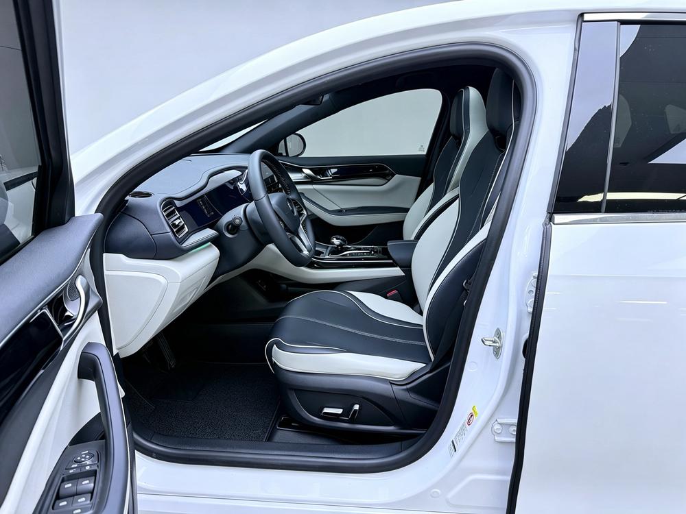 BYD Qin Plus DM 2021 DM-i 120km Flagship – фото 17