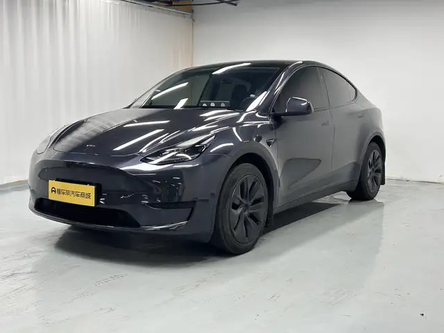 Model Y 2024 Model Rear-wheel drive version – фото 1