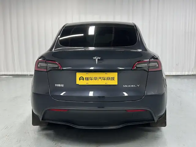 Model Y 2024 Model Rear-wheel drive version – фото 6