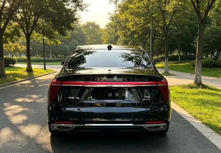 Hongqi H5 2023 Model 2.0T Automatic Flag Enjoy Edition – фото 5