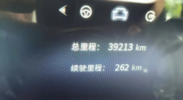 Hongqi H5 2023 Model 2.0T Automatic Flag Enjoy Edition – фото 7