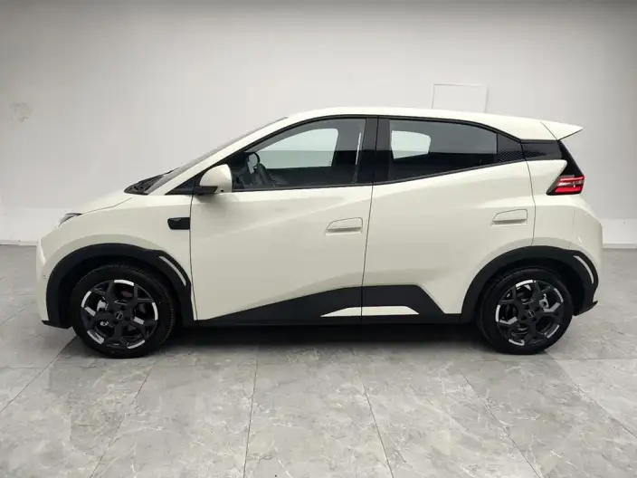 BYD Seagull 2025 Model Smart Driving Edition 405KM Feixiang Edition – фото 4