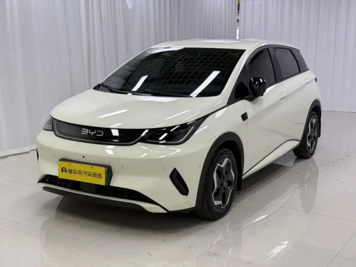 BYD Dolphin 2025 Model Smart Driving Edition 420KM Free Edition – фото 1