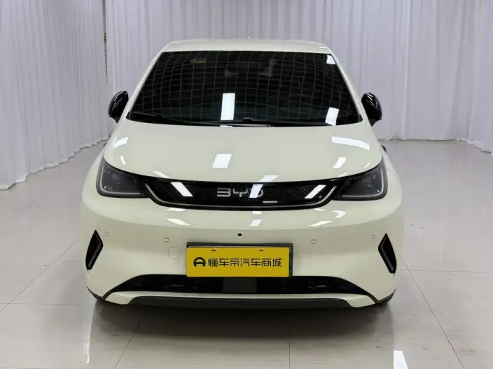BYD Dolphin 2025 Model Smart Driving Edition 420KM Free Edition – фото 2