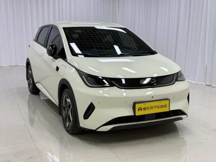 BYD Dolphin 2025 Model Smart Driving Edition 420KM Free Edition – фото 3
