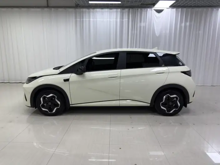 BYD Dolphin 2025 Model Smart Driving Edition 420KM Free Edition – фото 4