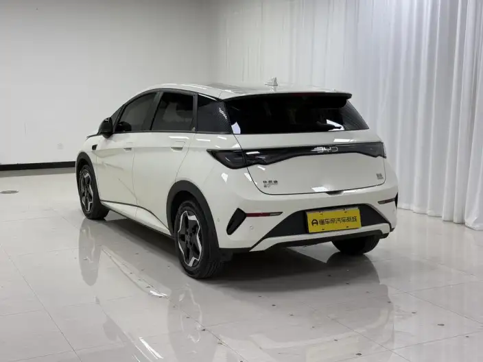 BYD Dolphin 2025 Model Smart Driving Edition 420KM Free Edition – фото 5